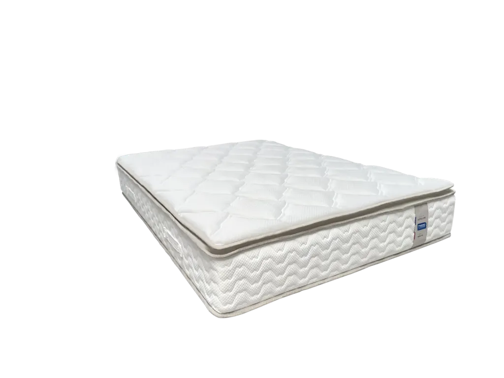 Matelas Bristol anti-punaise