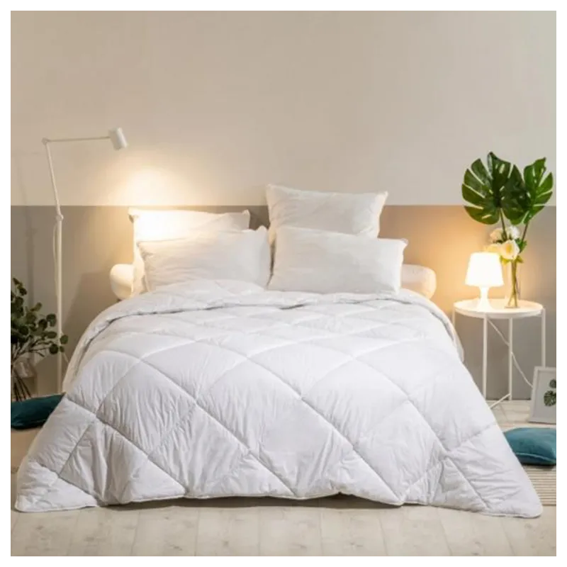 Couette 300 gr/m²