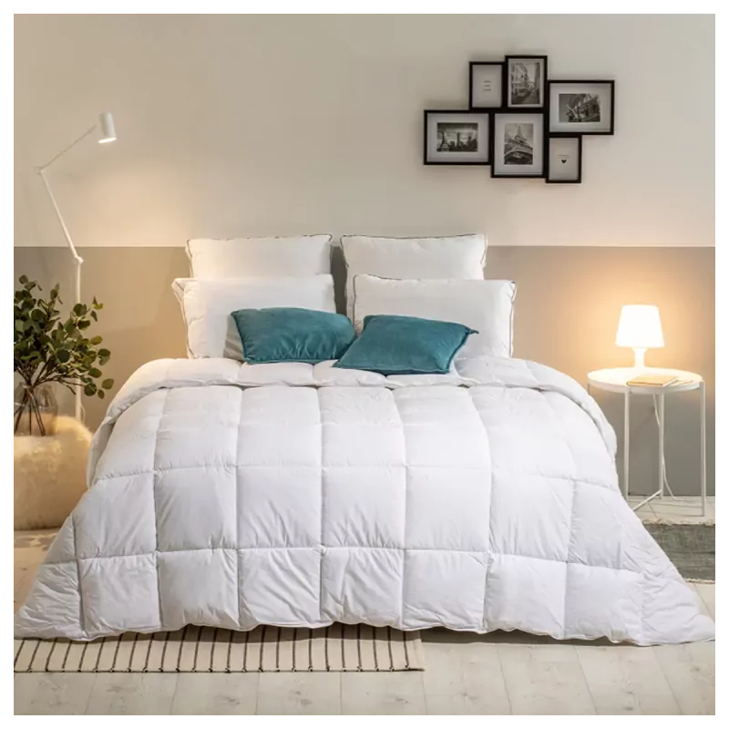 Couette 500gr/m² GRAND PALACE (lot de 6)