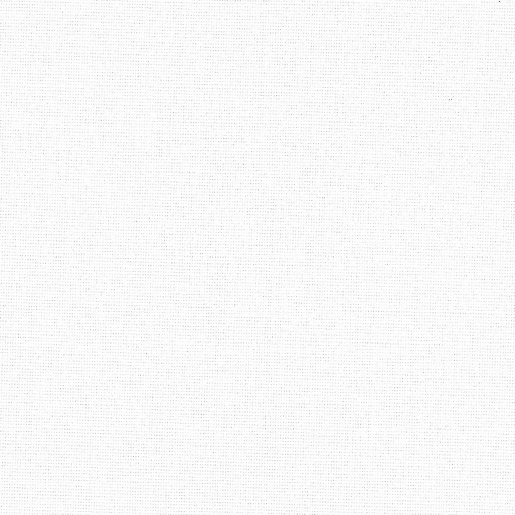 Collège (Blanc 01)
